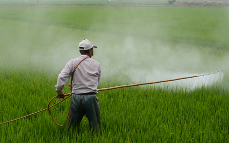 28.12.22 Pesticides, 04farmers