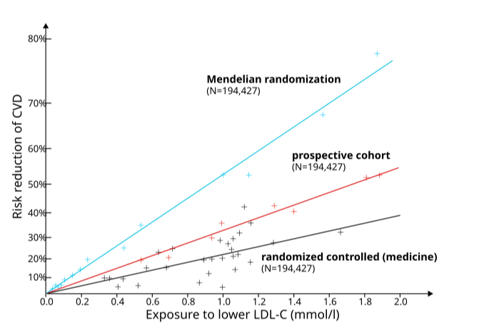 diagram 3 typer av studier hjärt och kärlsjukdom och LDL kolesterol-cropped