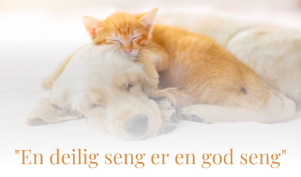 En lysebrun katt ligger oppå av en hvit hund. De sover sammen i en lys tåke og med teksten "En deilig seng er en god seng" skrevet i oransje tekst under dem. 