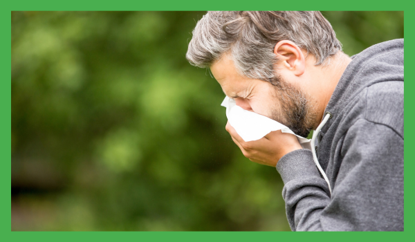 Man with pollen allergy sneezing into napkin