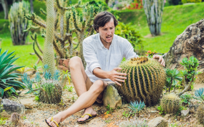 Man touching cactus