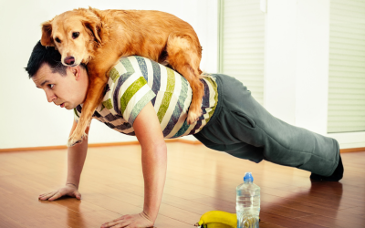 Man doing push ups with dog on back