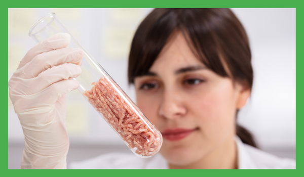En kvinnelig forsker som analyserer bearbeidet kjøtt i et reagensrør for å vurdere det for helsemessige egenskaper i forhold til sunn mat